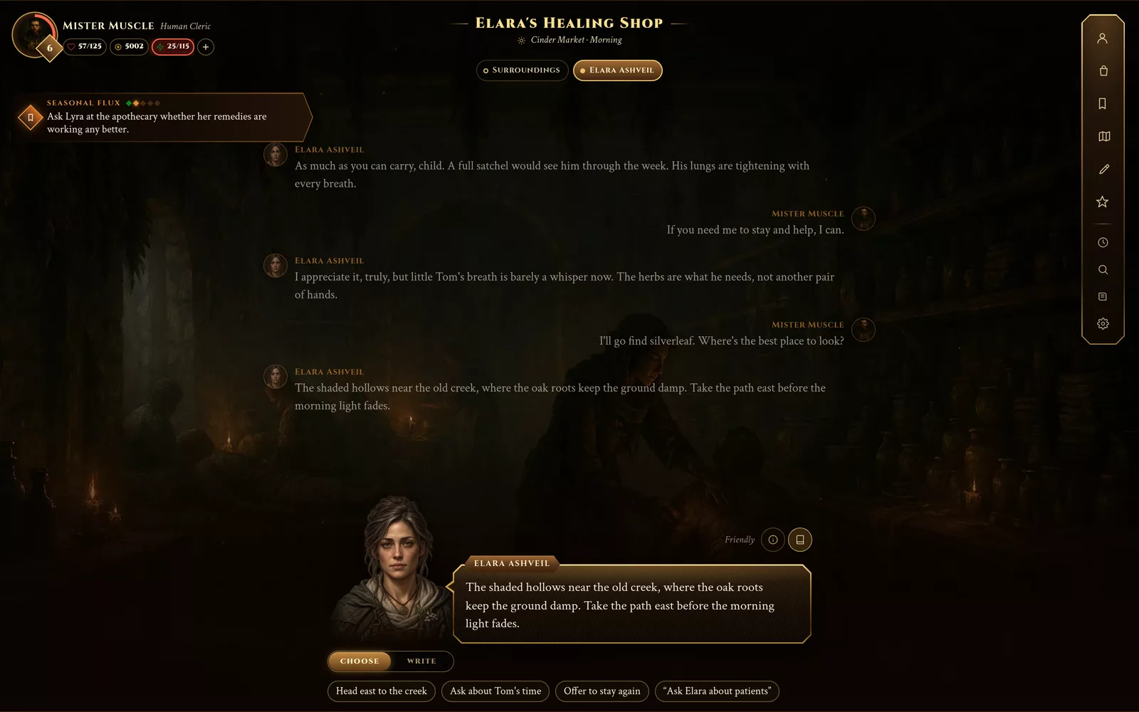 Talking to Elara Ashveil in her healing shop: her portrait, her latest line in a speech bubble, the conversation so far and what you can say next